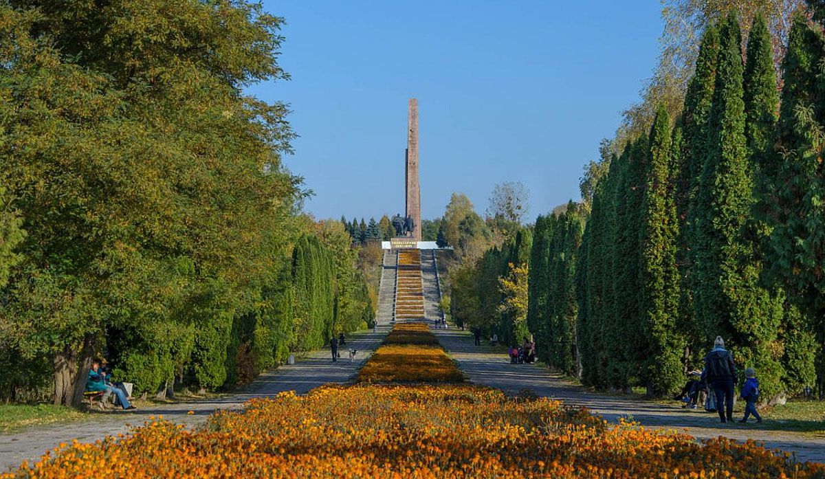 Пам’ять і вигул собак — несумісні